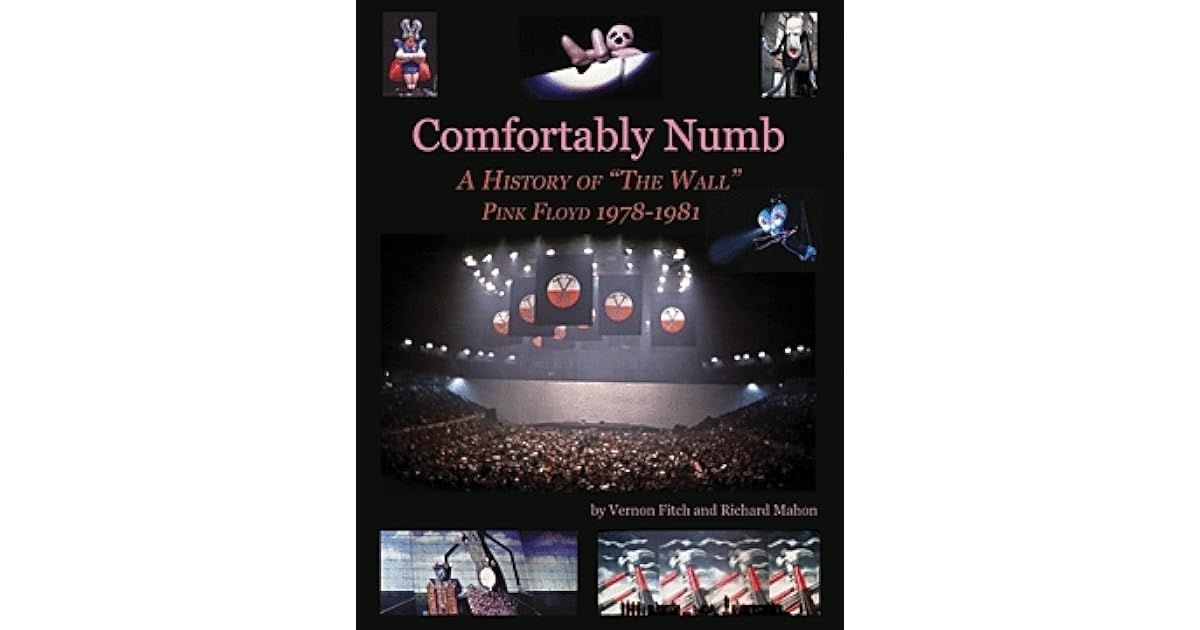 Comfortably Numb A History of "The Wall" Pink Floyd 19781981 by