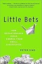 Little Bets: How Breakthrough Ideas Emerge from Small Discoveries