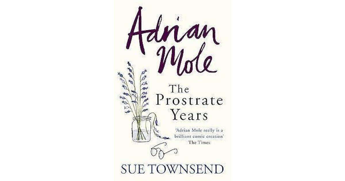 Adrian Mole The Prostrate Years (Adrian Mole, 8) by Sue Townsend