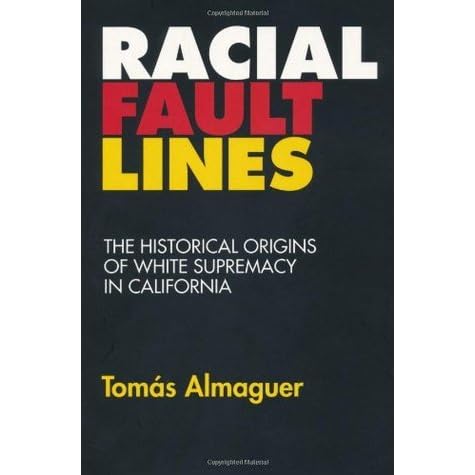 Racial fault lines paper essay image