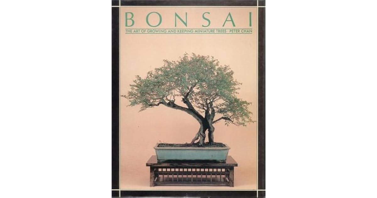 Bonsai The Art of Growing and Keeping Miniature Trees by Peter Chan
