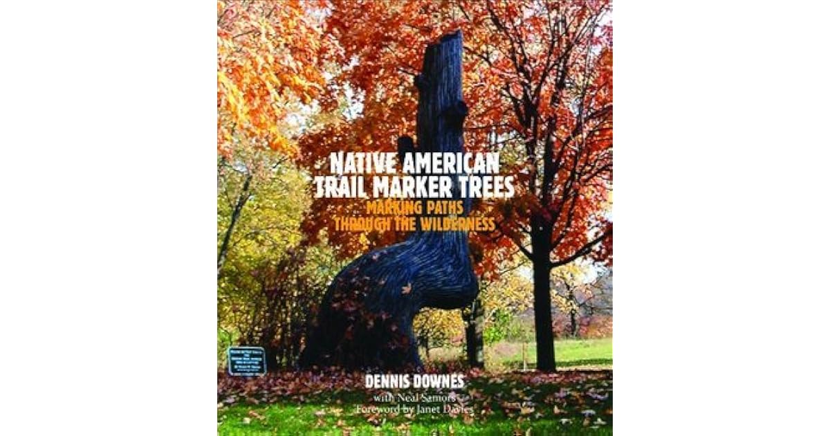 Native American Trail Marker Trees Marking Paths Through The Wilderness by Dennis Downes