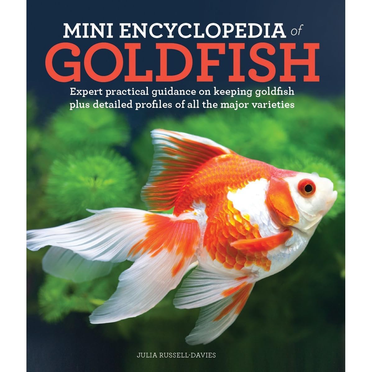 Mini Encyclopedia of Goldfish Expert Practical Guidance on Keeping