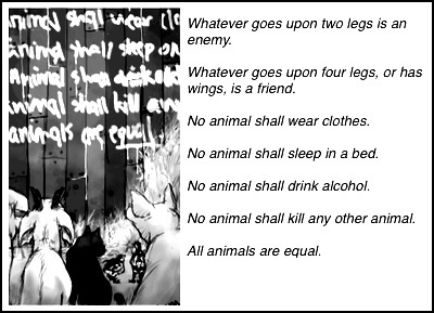 photo imagejpg2_zps813641f2.jpg