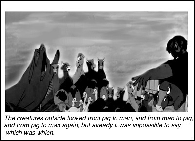 photo imagejpg3_zps6f2aef30.jpg