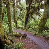 Ashley Mackler-Paternostro