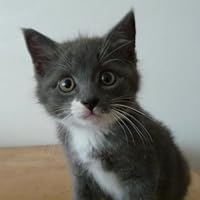 Chelsea Monroe-Cassel