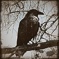 Evangeline Ravencraft