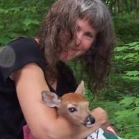 Susan Chernak McElroy