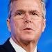 Jeb Bush