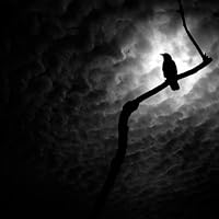 Crow Gray
