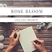 Rose Bloom