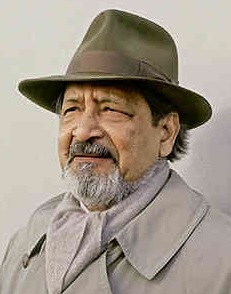 V.S. Naipaul profile picture