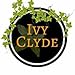 Ivy Clyde