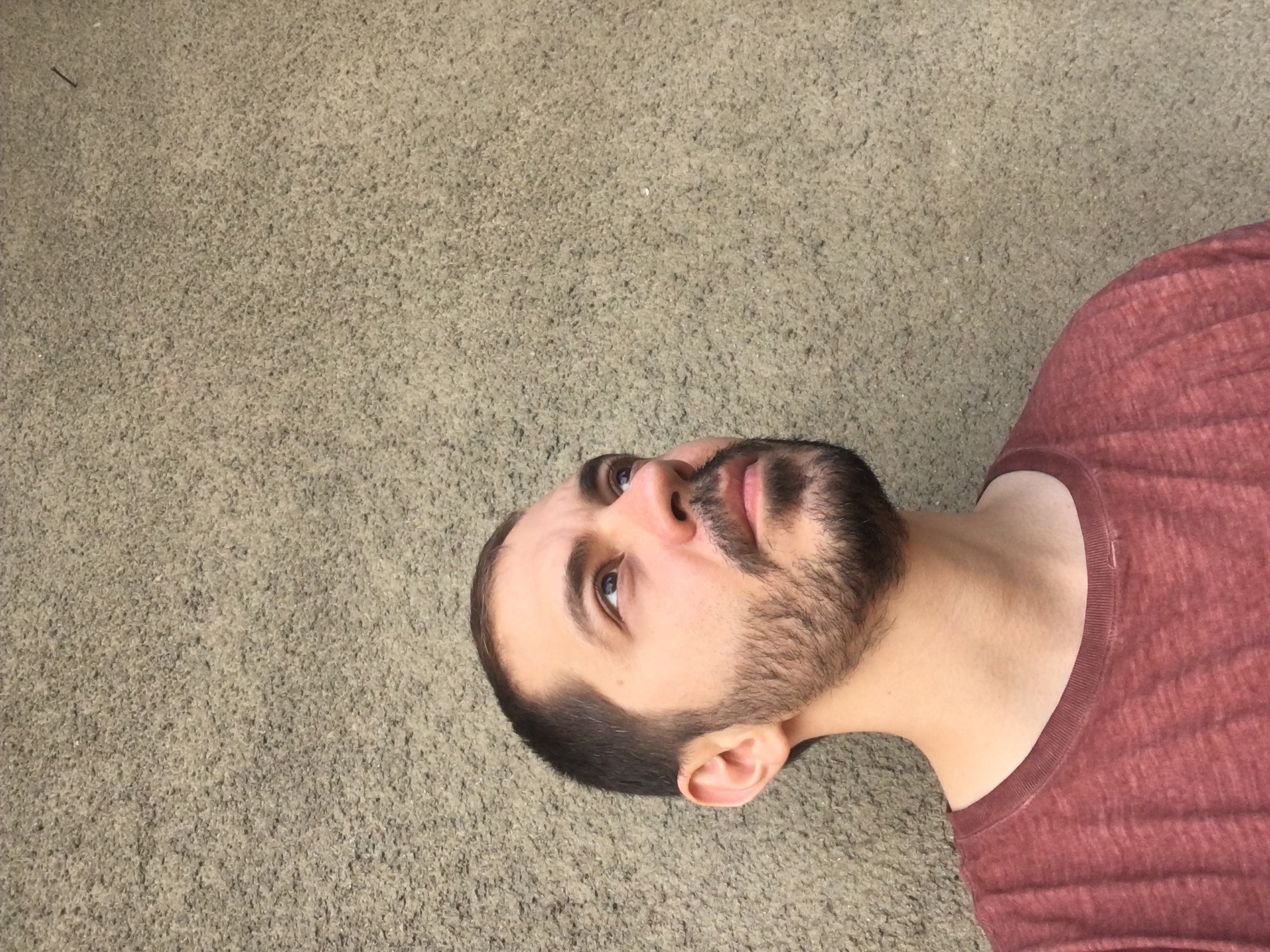 Благой Д. Иванов