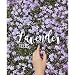 Lavender Fields