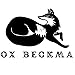 Fox Beckman