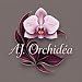 A.J. Orchidéa