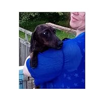 Meagan Myhren-Bennett