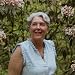 Ann  Howell