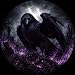 Ashborn Raven