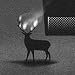 Martynas Pavilonis