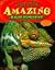 Totally Amazing Rain Forests by Kate Graham Totally Amazing Rain Forests by Kate Graham