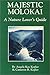 Majestic Molokai by Angela Kay Kepler