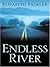 Endless River