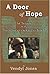 A Door of Hope by Vendyl Jones