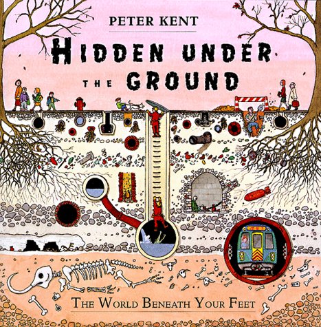 Hidden Under the Ground: The World Beneath Your Feet (Hardcover)