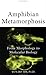 Amphibian Metamorphosis: From Morphology to Molecular Biology