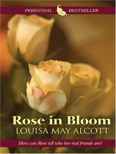 Rose In Bloom