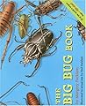 The Big Bug Book