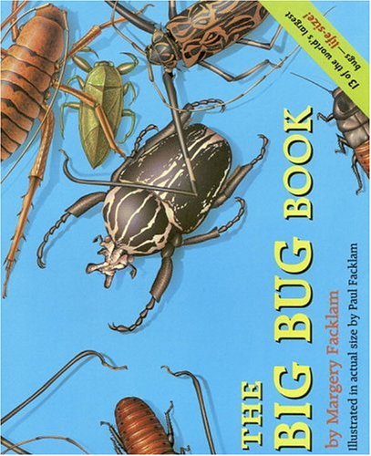 The Big Bug Book (Paperback)