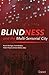 Blindness And The Multi Sensorial City