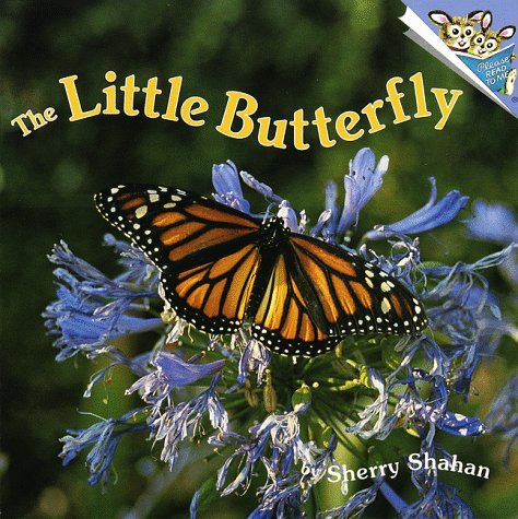 The Little Butterfly (Paperback)