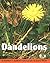 Dandelions (Early Bird Nature Books)