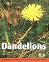 Dandelions (Early Bird Nature Books)