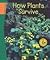 How Plants Survive (Science Links)