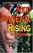Red Phoenix Rising by Marie Carroll