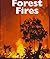 Forest Fires