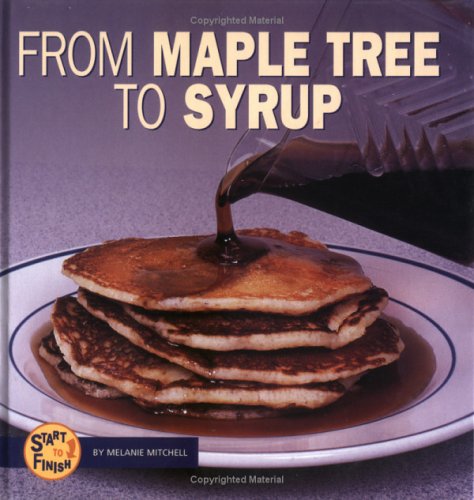 From Maple Tree to Syrup (Start to Finish)