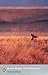 Out of Africa