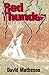 Red Thunder by David Matheson