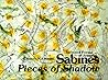 Pieces of Shadow: Selected Poems