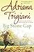 Big Stone Gap (Big Stone Gap, #1)