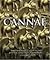 Cannae by Adrian Goldsworthy