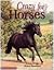 Crazy For Horses by Karen Briggs