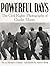 Powerful Days by Andrew     Young Powerful Days by Andrew     Young